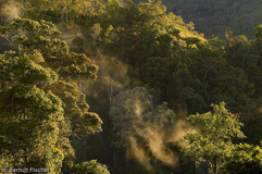 Mount Kinabalu  - Zum Vergroessern klicken!